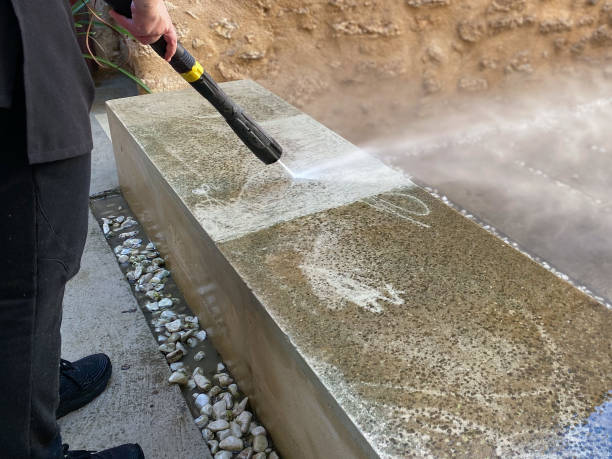 Best Roof Pressure Washing  in Port Republic, NJ