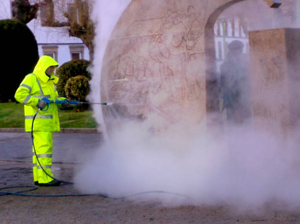 Local Pressure Washing Services in Port Republic, NJ